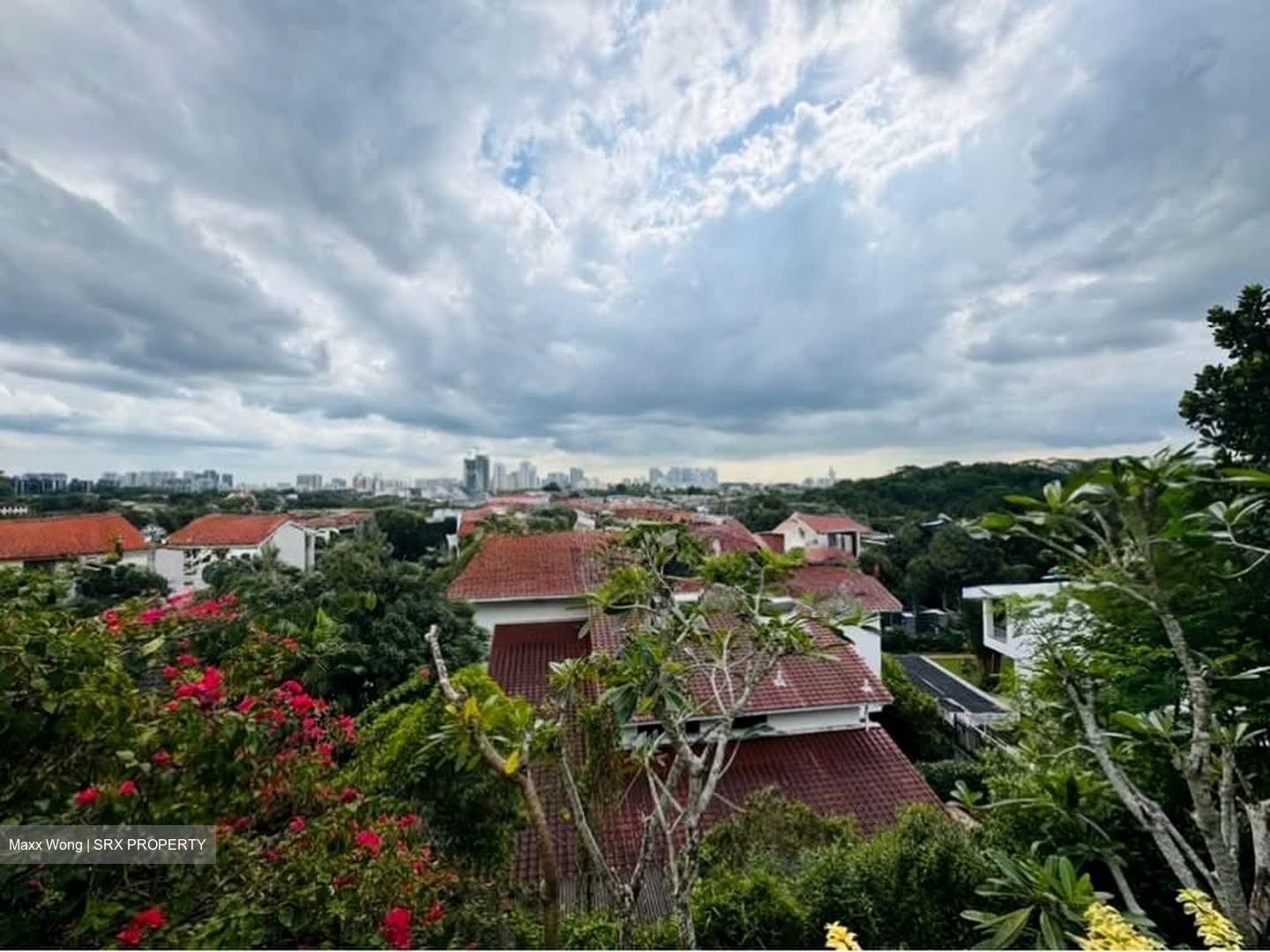 Avenue Villas (D10), Detached #588778591